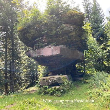 3- 2-1 - Raum - Ferienappartements Dieter Hoffmann Freudenstadt-Kniebis Beim Nationalpark 外观 照片