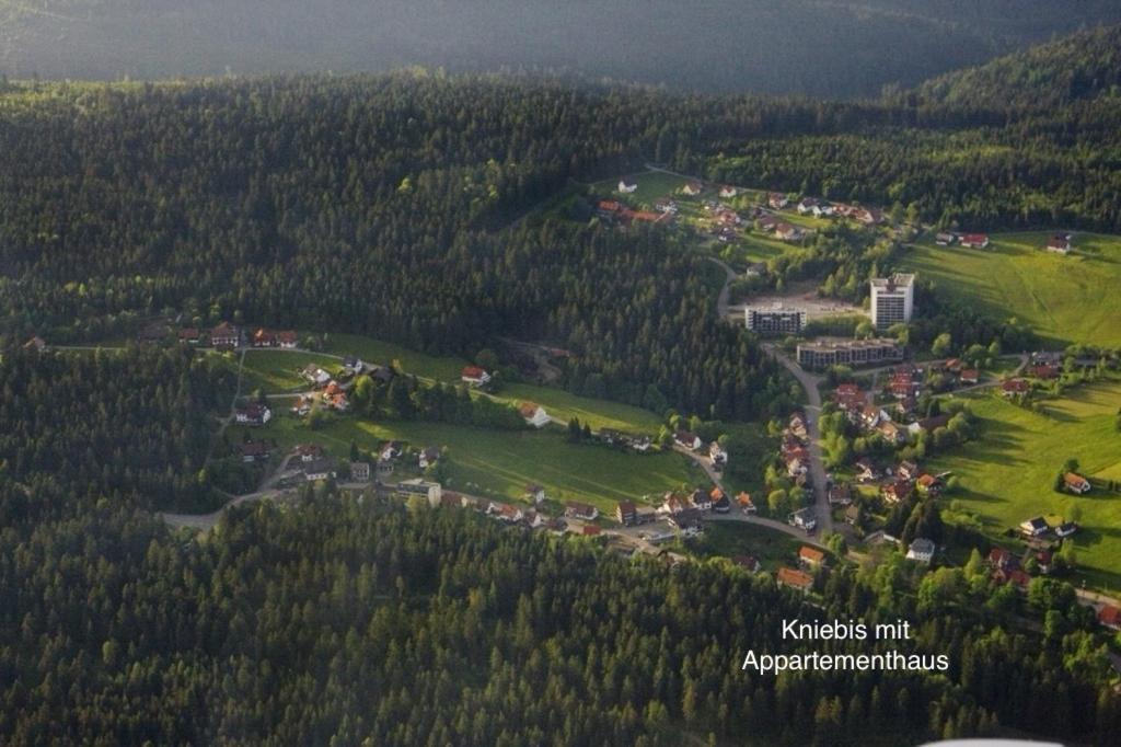 3- 2-1 - Raum - Ferienappartements Dieter Hoffmann Freudenstadt-Kniebis Beim Nationalpark 外观 照片