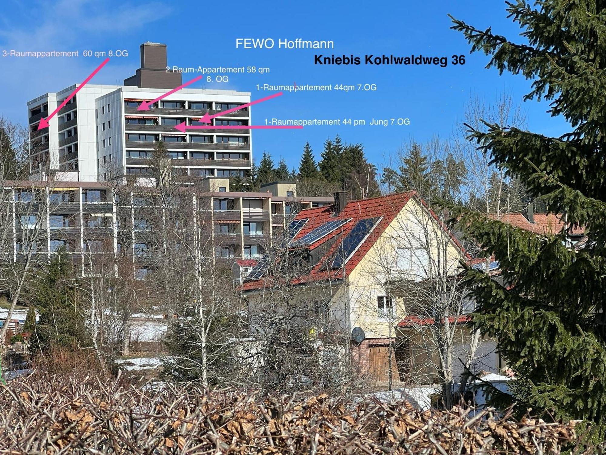 3- 2-1 - Raum - Ferienappartements Dieter Hoffmann Freudenstadt-Kniebis Beim Nationalpark 外观 照片
