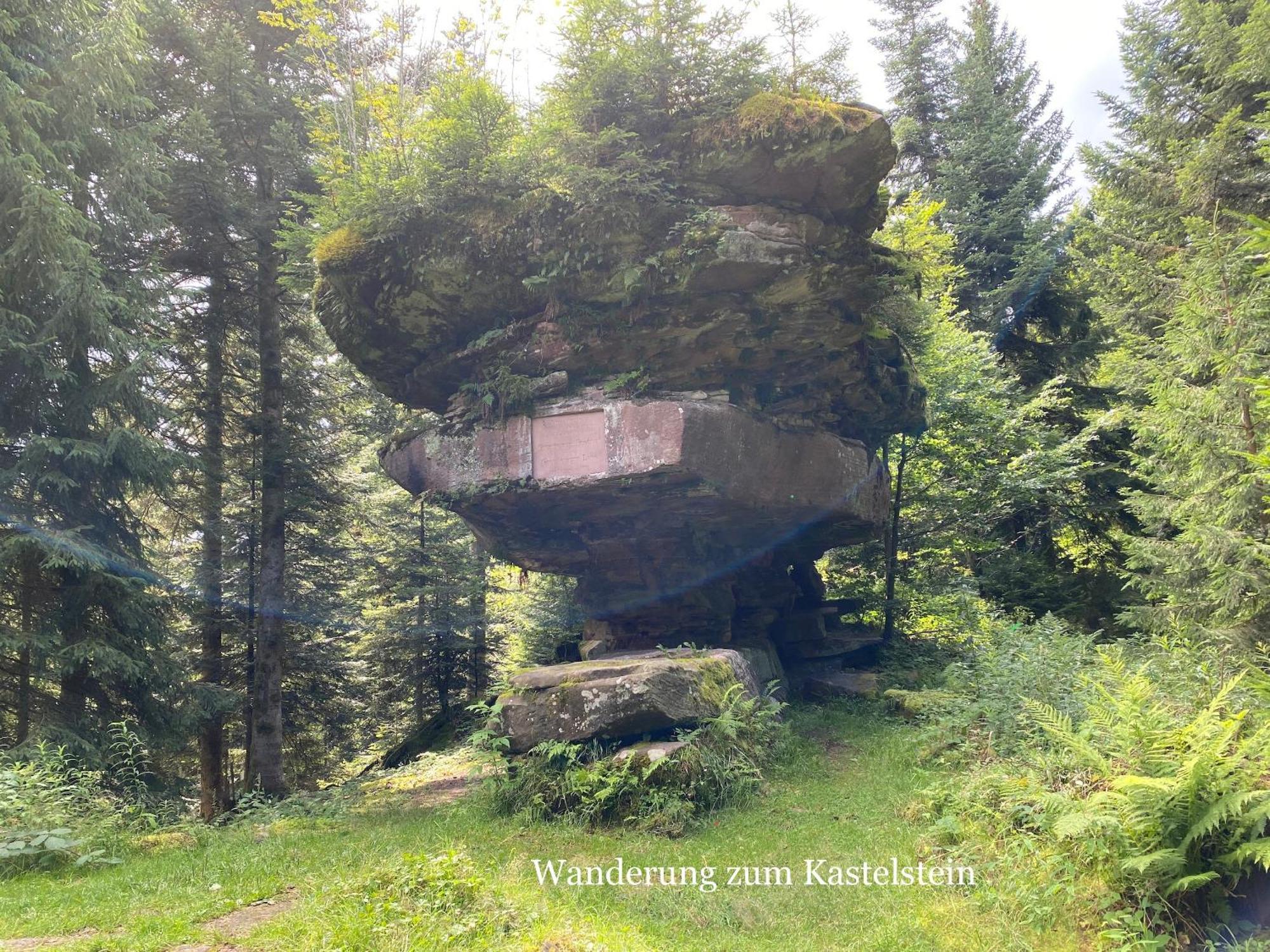 3- 2-1 - Raum - Ferienappartements Dieter Hoffmann Freudenstadt-Kniebis Beim Nationalpark 外观 照片