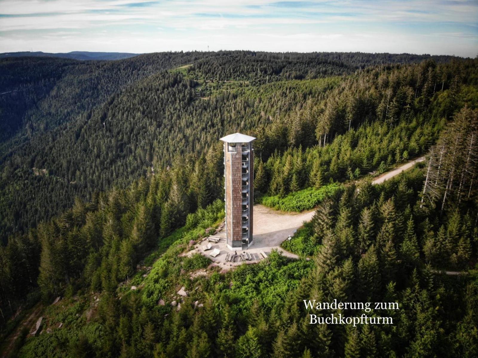 3- 2-1 - Raum - Ferienappartements Dieter Hoffmann Freudenstadt-Kniebis Beim Nationalpark 外观 照片
