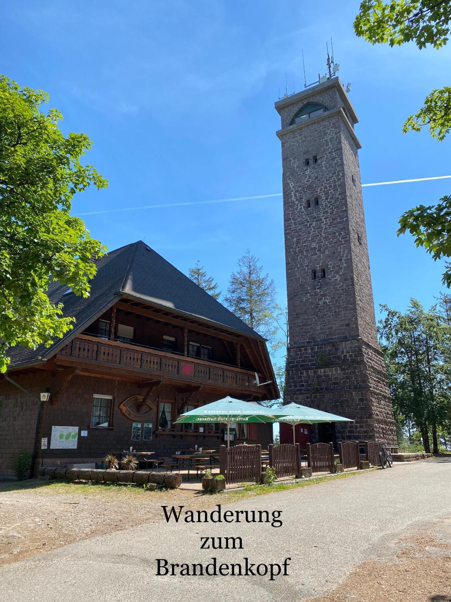3- 2-1 - Raum - Ferienappartements Dieter Hoffmann Freudenstadt-Kniebis Beim Nationalpark 外观 照片