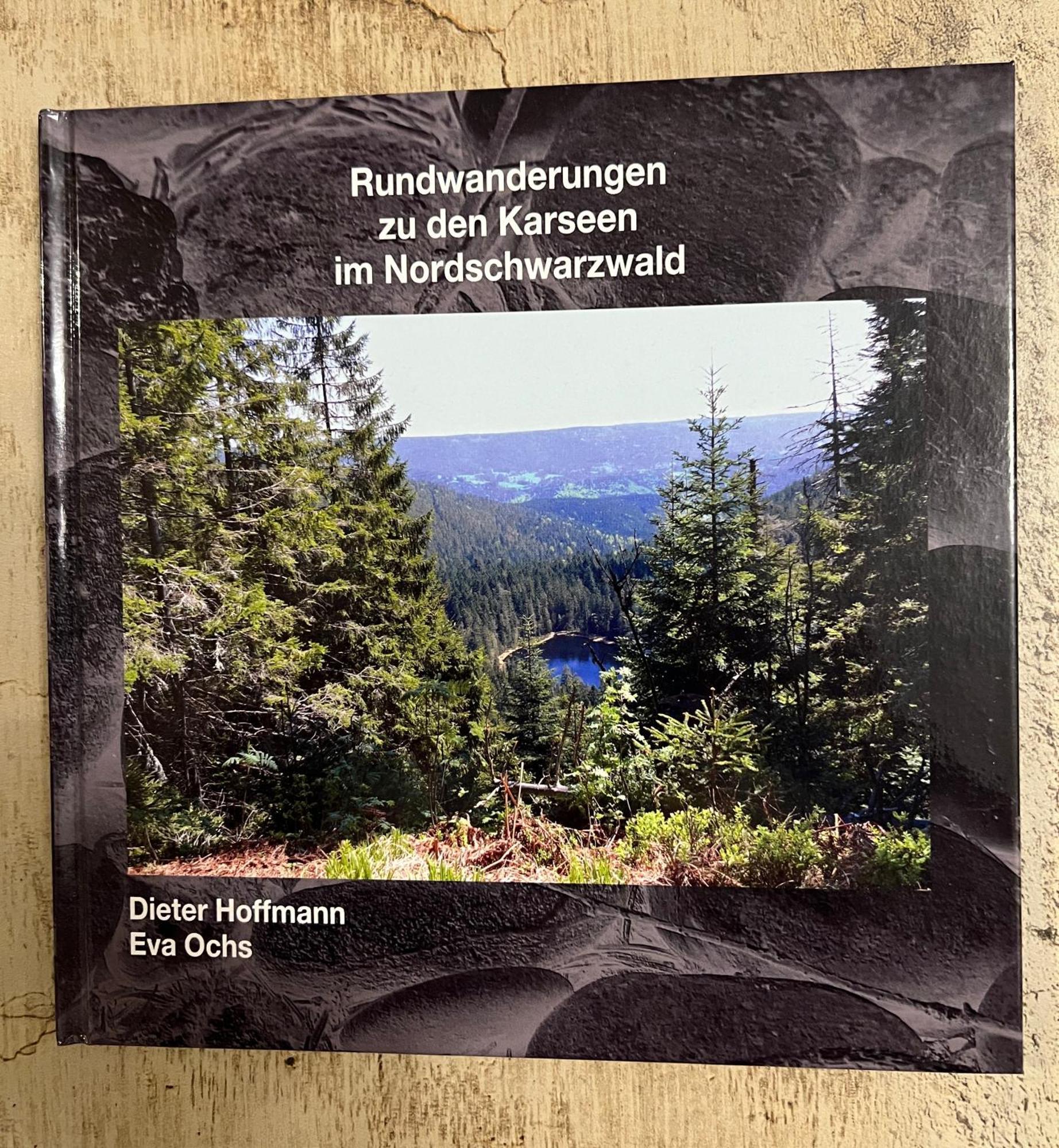 3- 2-1 - Raum - Ferienappartements Dieter Hoffmann Freudenstadt-Kniebis Beim Nationalpark 外观 照片