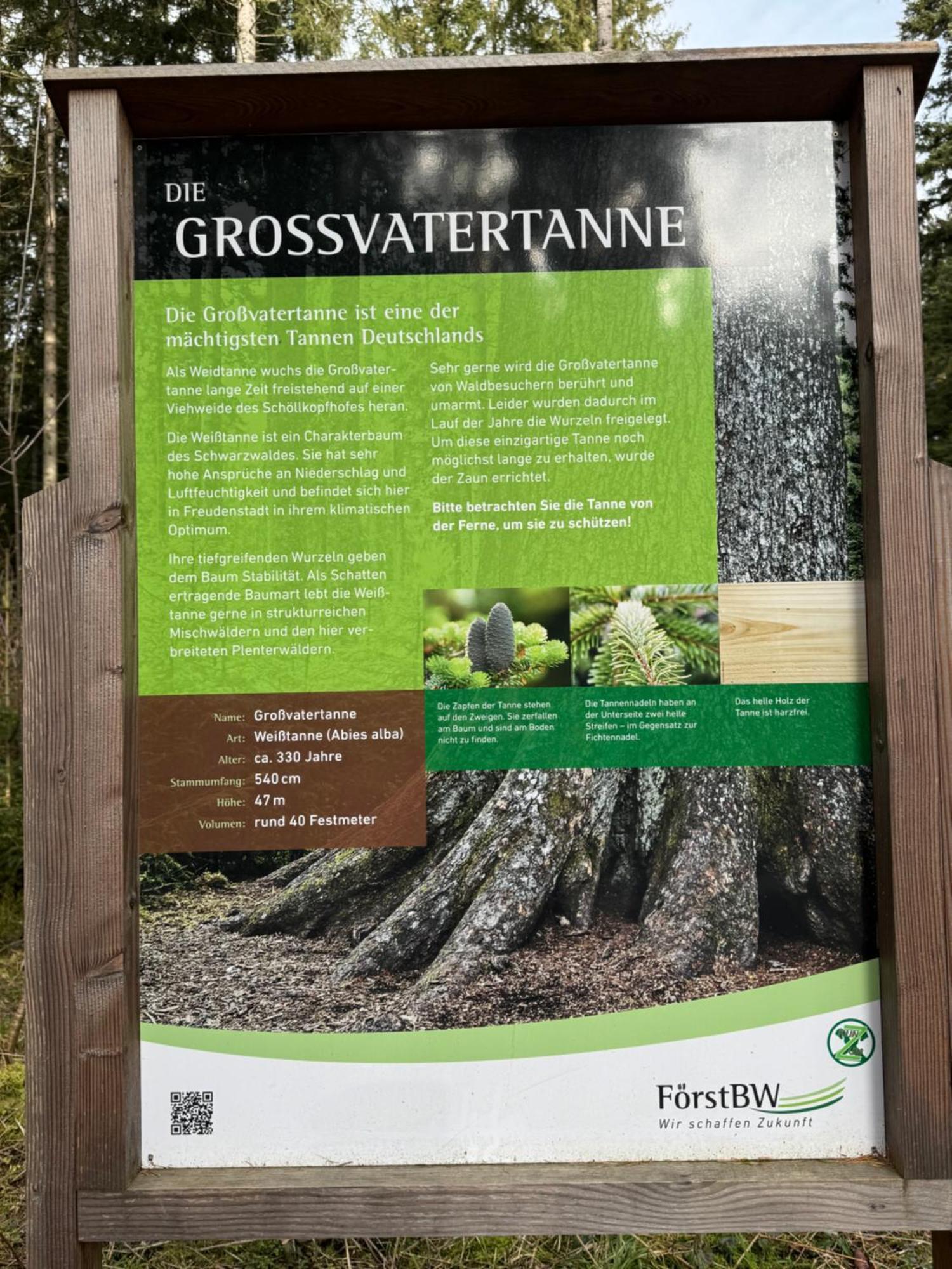 3- 2-1 - Raum - Ferienappartements Dieter Hoffmann Freudenstadt-Kniebis Beim Nationalpark 外观 照片